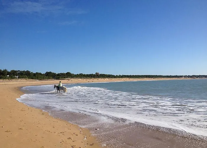 Grande Maison A 150 Metres De La Plage Semesterbostad La Tranche-sur-Mer